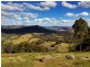 Black Pine Clements Road, Woodstock NSW 2793
