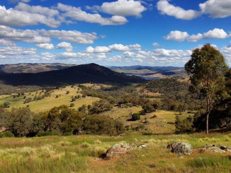Black Pine Clements Road, Woodstock NSW 2793