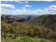Black Pine Clements Road, Woodstock NSW 2793