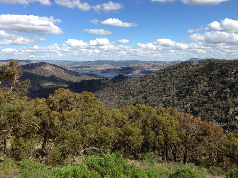 Black Pine Clements Road, Woodstock NSW 2793