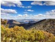 Black Pine Clements Road, Woodstock NSW 2793