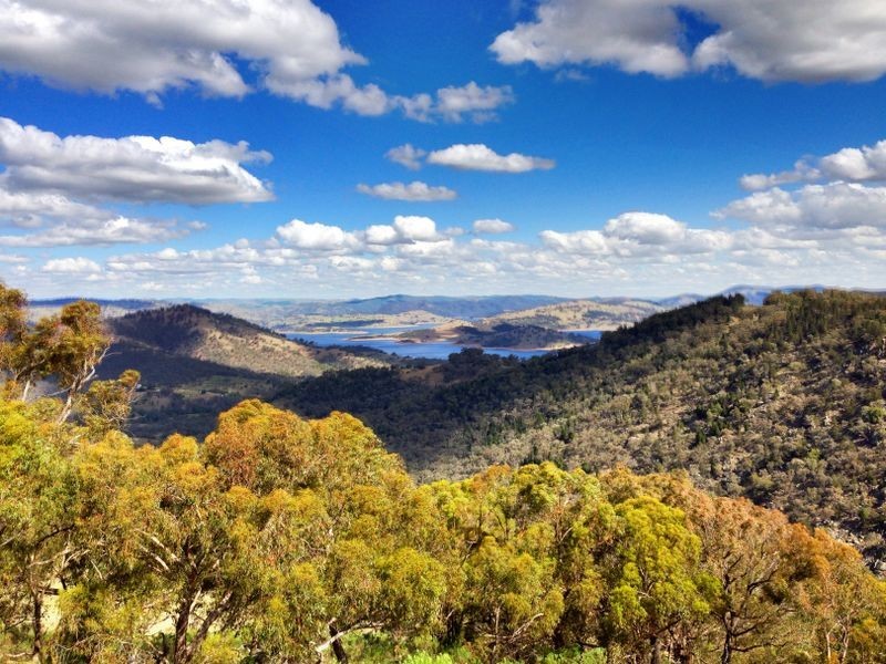 Black Pine Clements Road, Woodstock NSW 2793
