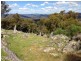 Black Pine Clements Road, Woodstock NSW 2793