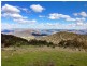 Black Pine Clements Road, Woodstock NSW 2793