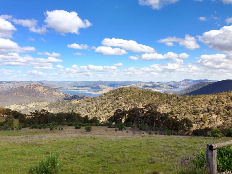 Black Pine Clements Road, Woodstock NSW 2793