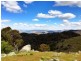 Black Pine Clements Road, Woodstock NSW 2793