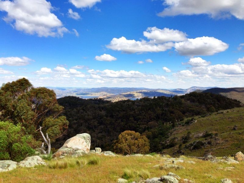 Black Pine Clements Road, Woodstock NSW 2793