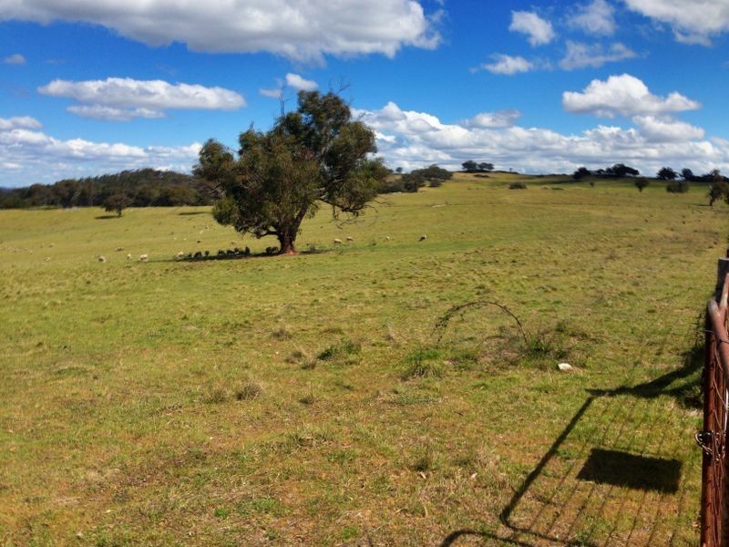 Black Pine Clements Road, Woodstock NSW 2793