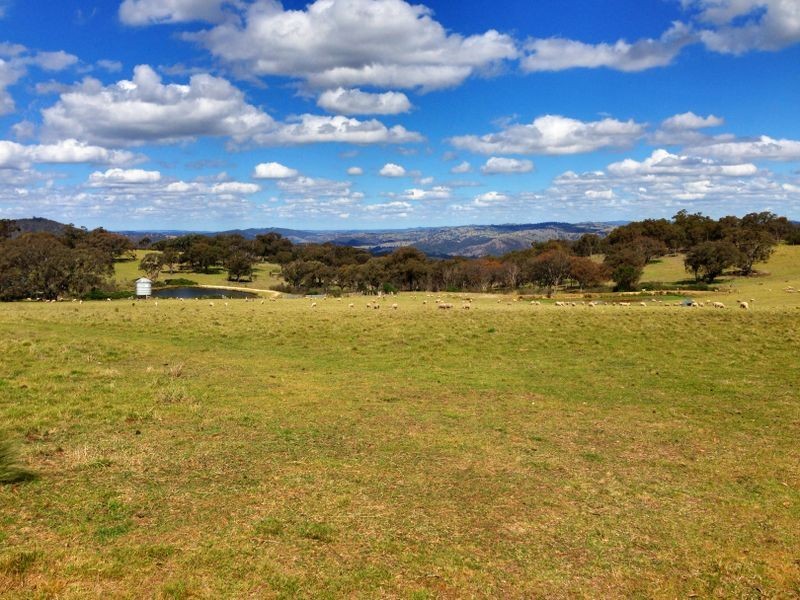 Black Pine Clements Road, Woodstock NSW 2793