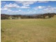 Black Pine Clements Road, Woodstock NSW 2793