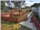 Black Pine Clements Road, Woodstock NSW 2793