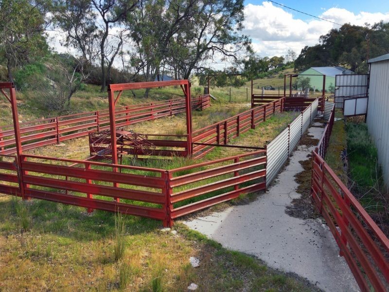 Black Pine Clements Road, Woodstock NSW 2793
