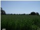 Lot 2 River Park Road, Cowra NSW 2794