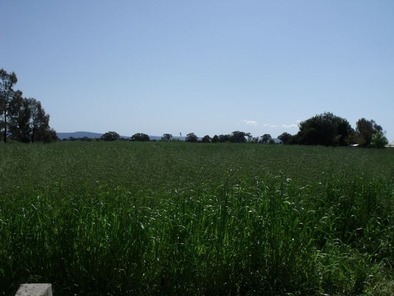 Lot 2 River Park Road, Cowra NSW 2794
