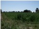 Lot 2 River Park Road, Cowra NSW 2794