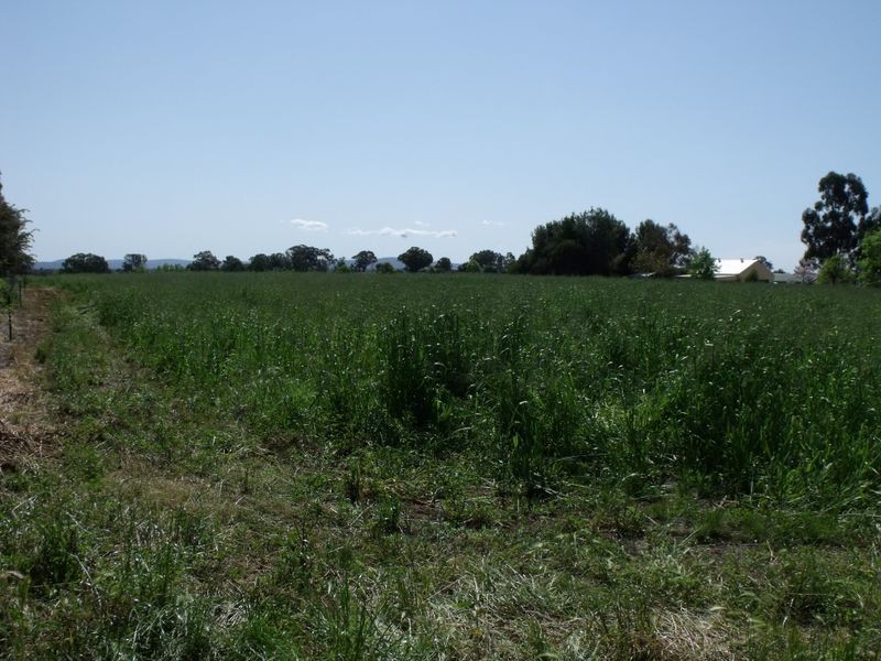 Lot 2 River Park Road, Cowra NSW 2794
