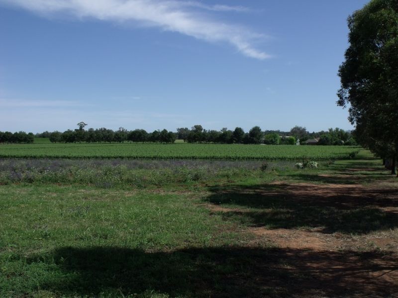 Lot 13 River Park Road, Cowra NSW 2794