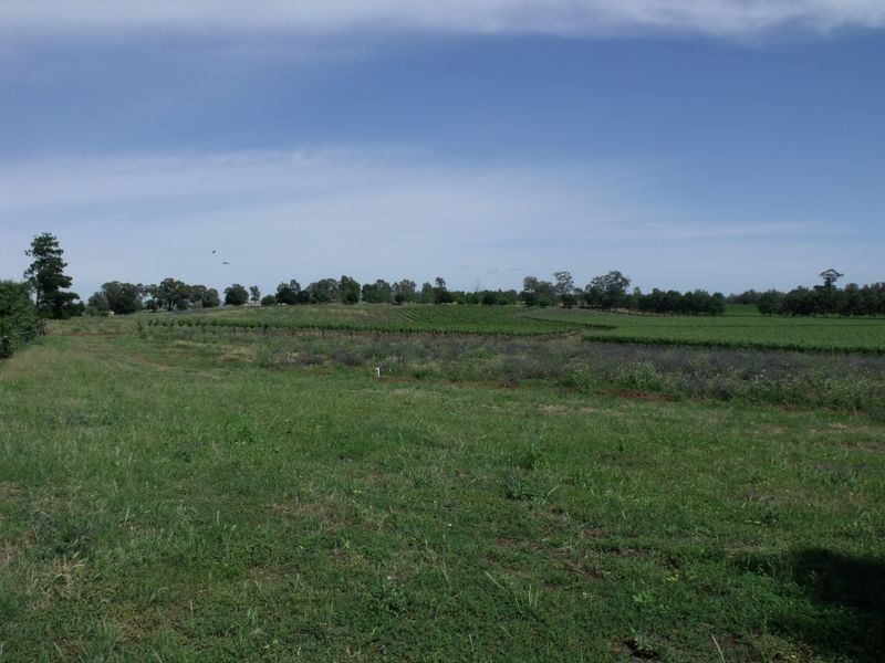 Lot 13 River Park Road, Cowra NSW 2794