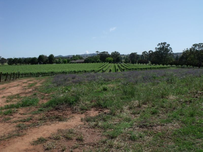 Lot 13 River Park Road, Cowra NSW 2794