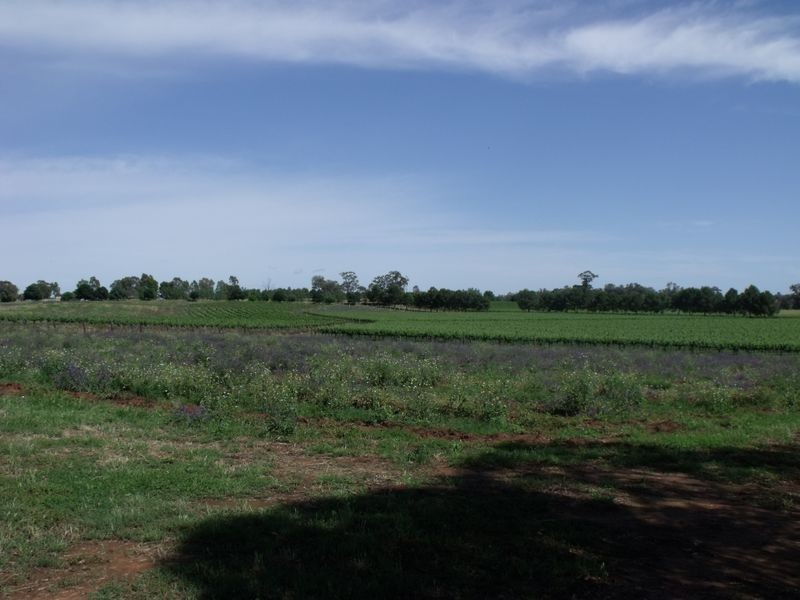 Lot 13 River Park Road, Cowra NSW 2794