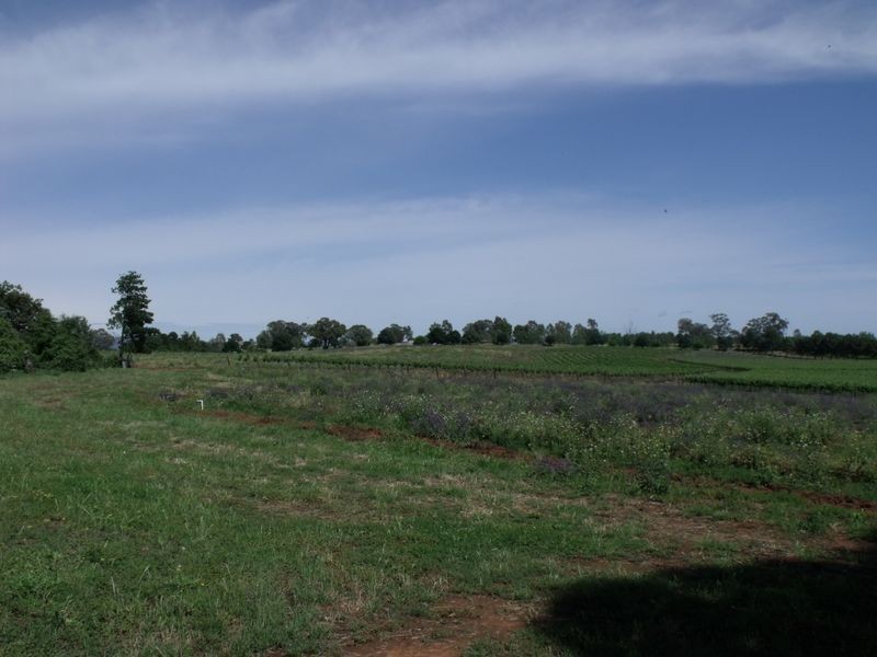 Lot 13 River Park Road, Cowra NSW 2794
