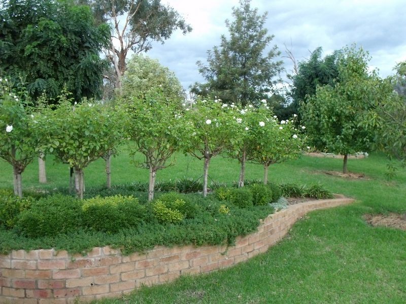 17 Karinya Street, Cowra NSW 2794