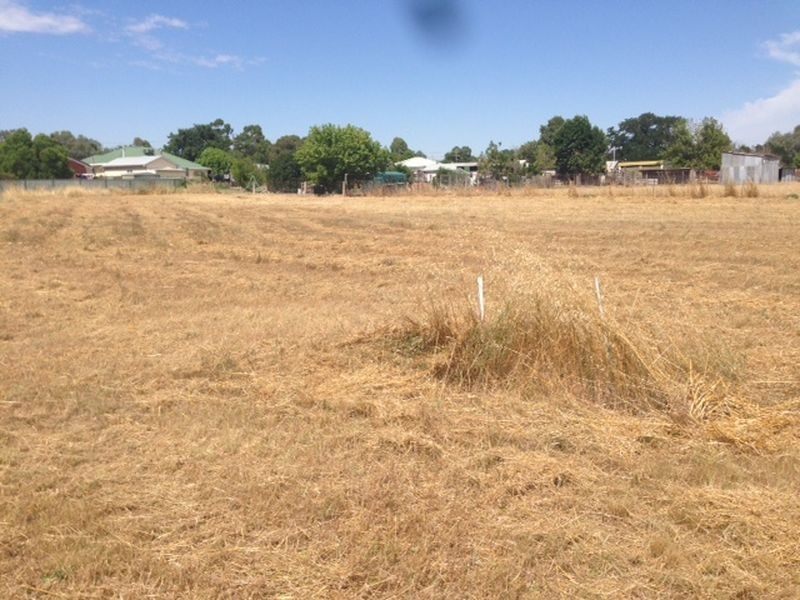 22 Mirage Drive, Cowra NSW 2794