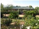 54 Badgery Road, Cowra NSW 2794