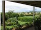 54 Badgery Road, Cowra NSW 2794