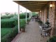 54 Badgery Road, Cowra NSW 2794