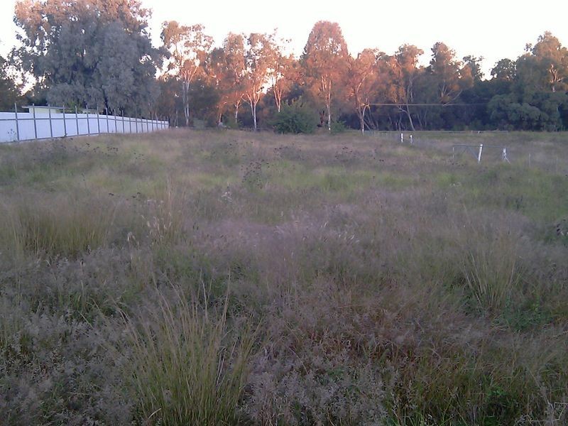 55 Dawson Drive, Cowra NSW 2794