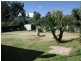 29 Hanna Street, Cowra NSW 2794