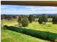 46 Delaneys Road, Cowra NSW 2794