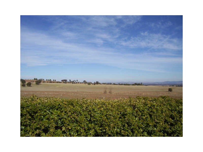 Kintyre Mckennys Lane, Cowra NSW 2794