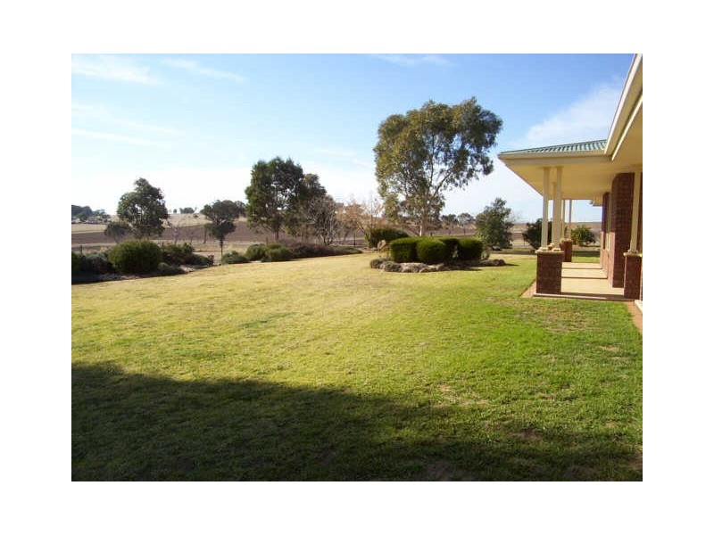 Kintyre Mckennys Lane, Cowra NSW 2794