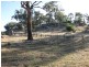 29 London Drive, Cowra NSW 2794