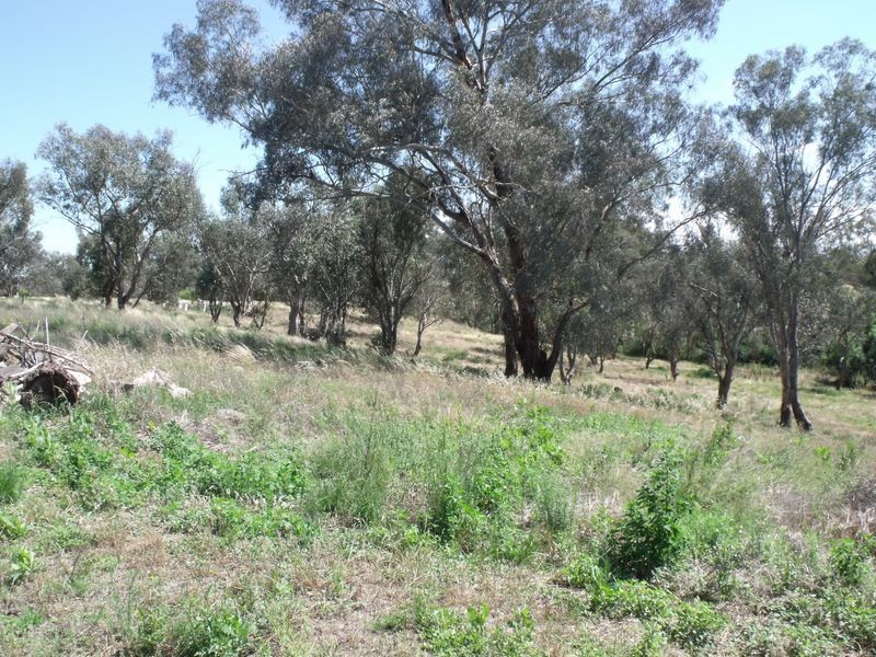 Kanangra Glen/27 Old Boorowa Road, Cowra NSW 2794
