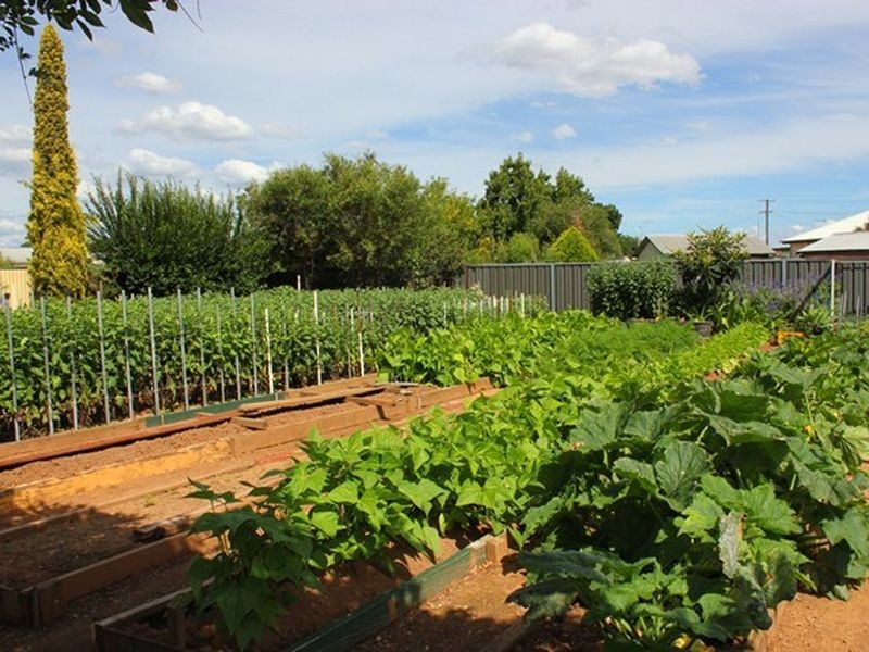 9 Lee Street, Cowra NSW 2794