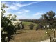 171b Cultowa Rd, Cowra NSW 2794