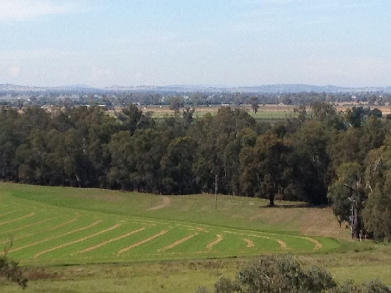 171b Cultowa Rd, Cowra NSW 2794