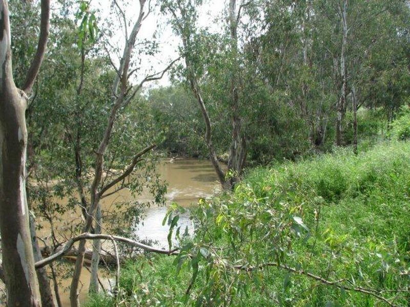 171b Cultowa Rd, Cowra NSW 2794