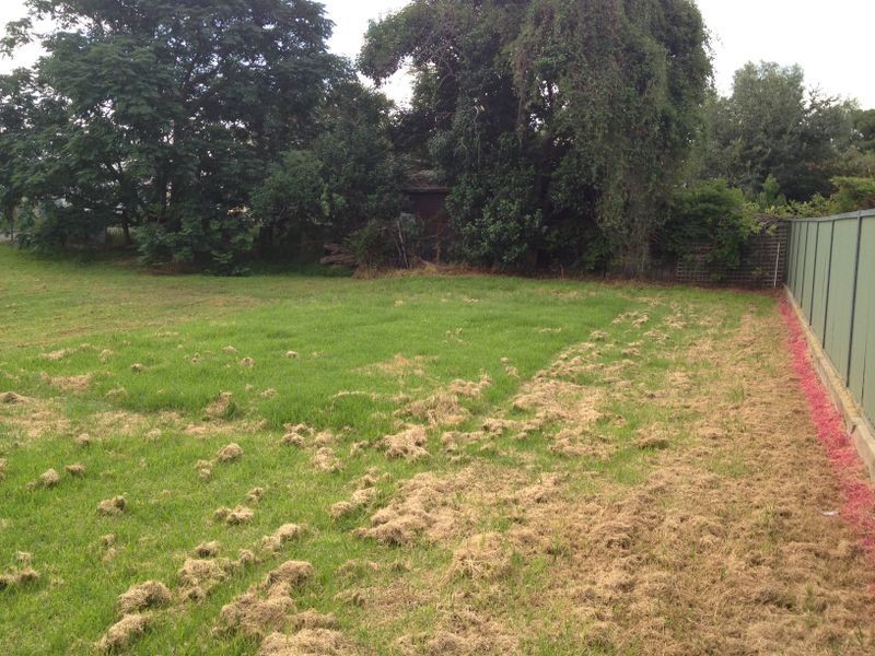 8 Brougham Street, Cowra NSW 2794