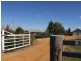 301 Elouera Road, Cowra NSW 2794