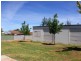 50 Kite Street, Cowra NSW 2794