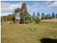 101 Glen Avon Road, Darbys Falls NSW 2793