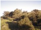29 London Drive, Cowra NSW 2794