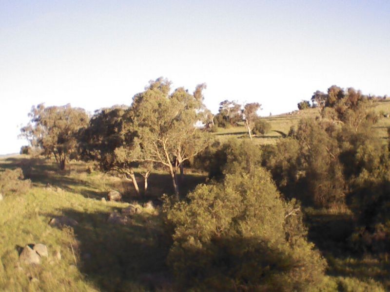 29 London Drive, Cowra NSW 2794