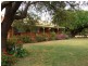 168 & 169 North Logan Rd, Billimari NSW 2804