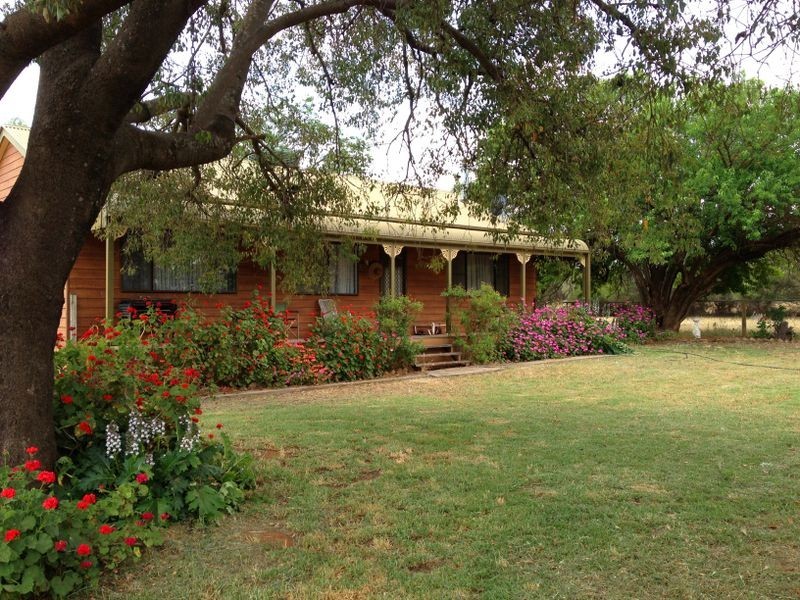168 & 169 North Logan Rd, Billimari NSW 2804
