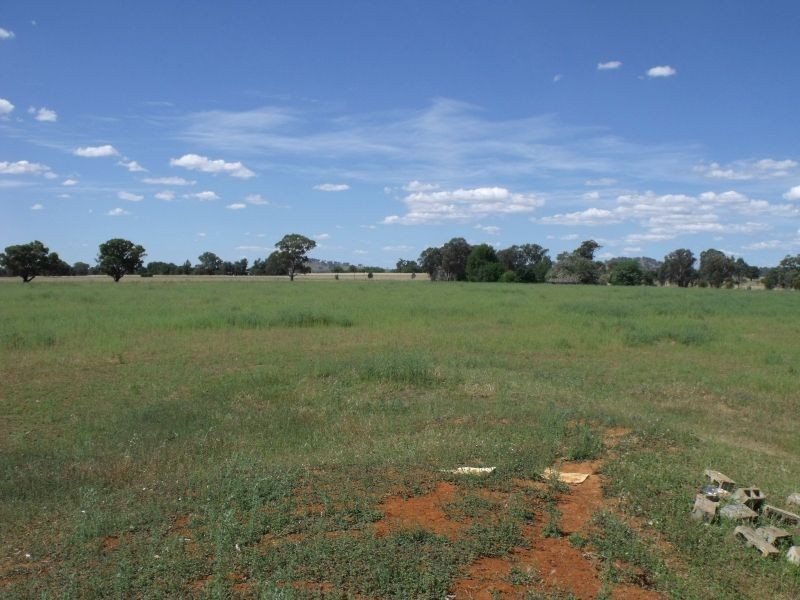 168 & 169 North Logan Rd, Billimari NSW 2804